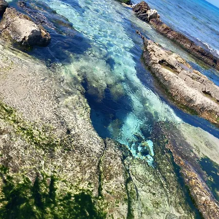 La Terrazza Sul Mare